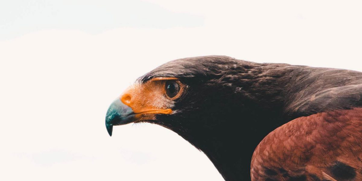 עבודה עמוקה